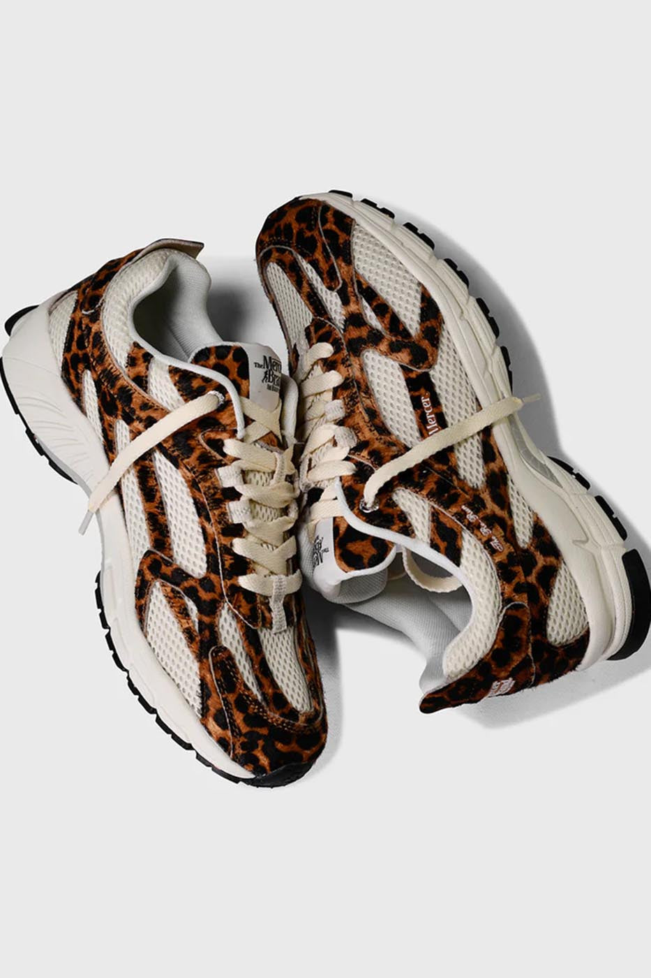 The Re-Run Leopard