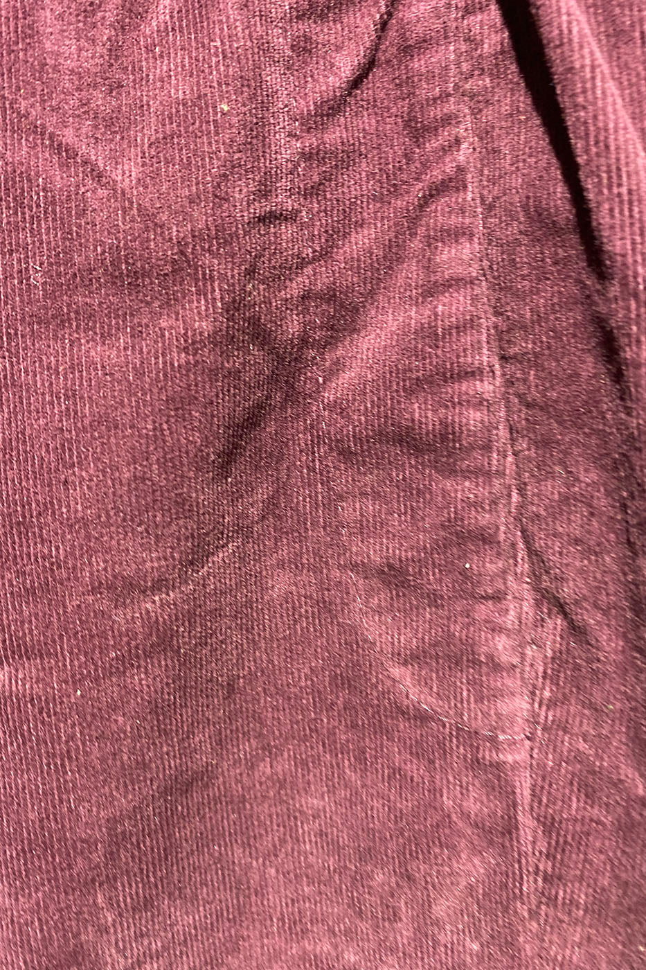 Magic velours fine côte prune