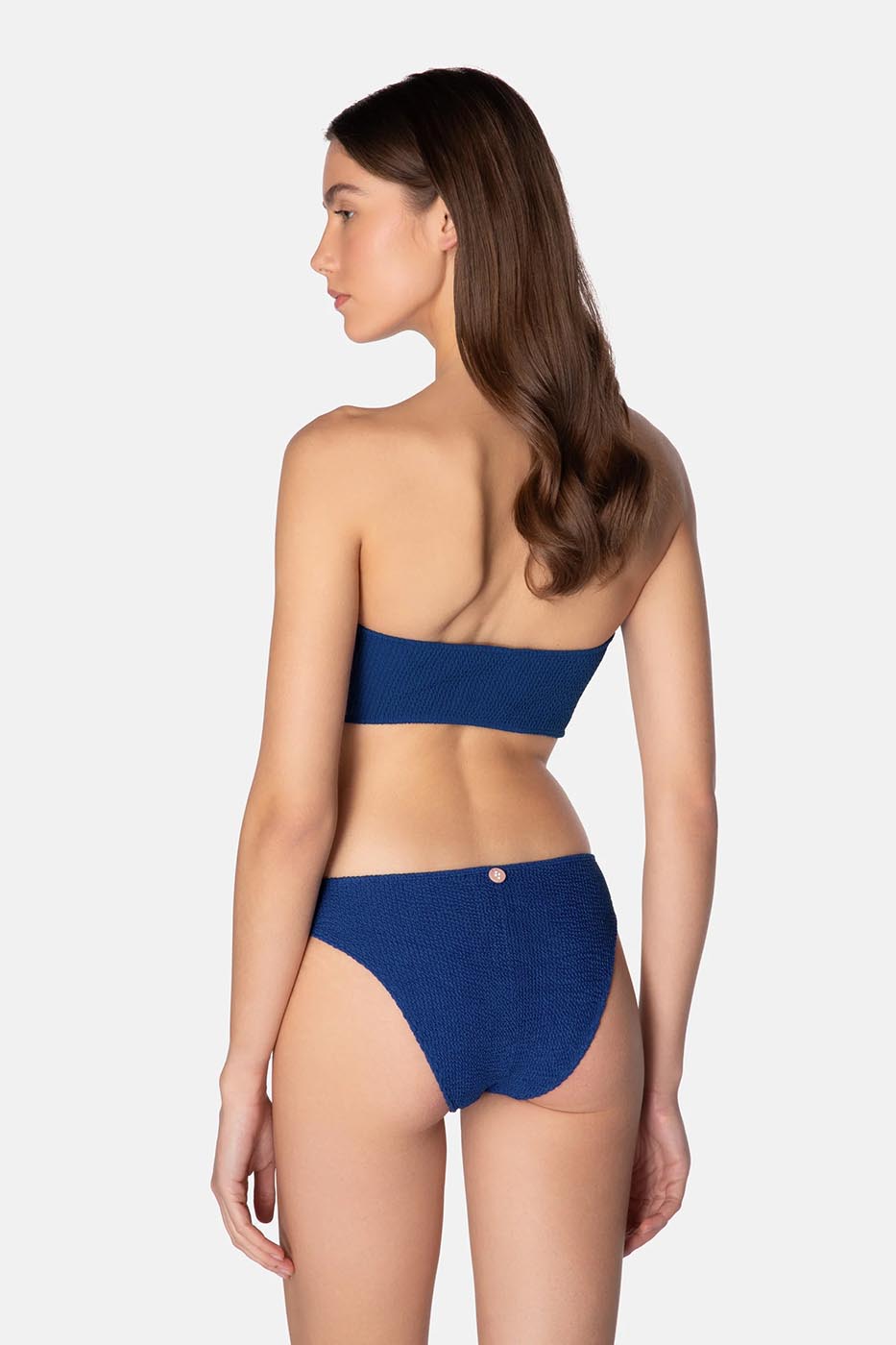 bikini lory BLUEBERRY