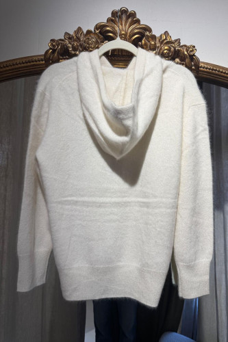 Pull à capuche raccoon