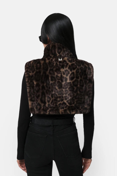 copy of GOLDY COAT 2