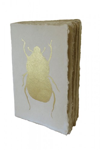 Carnet de curiosités scarabée doré