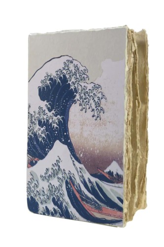 Carnet de curiosités la Vague d'Hokusai