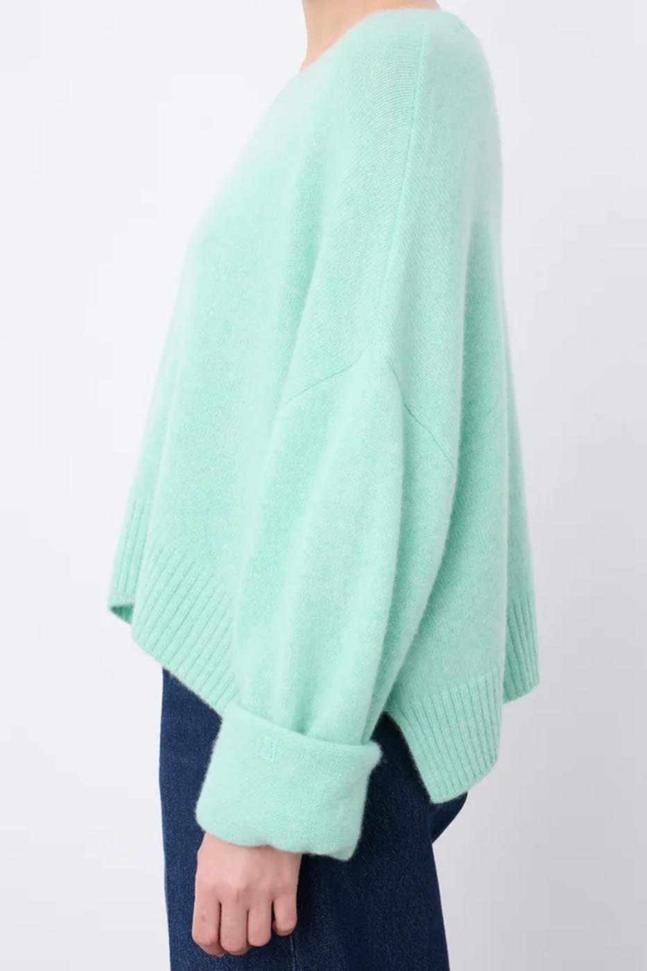 Pull Tayra